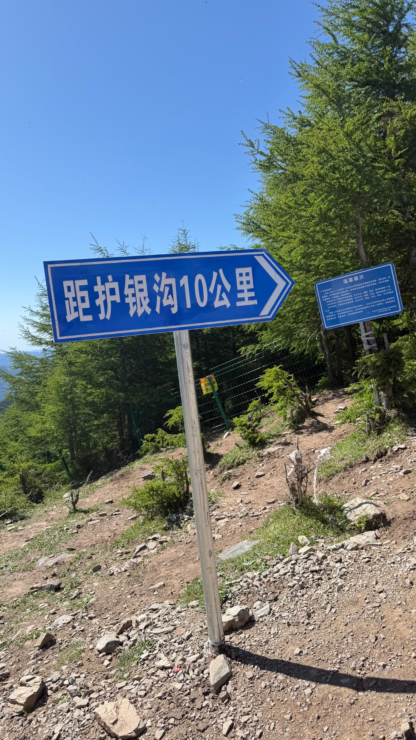 IMG_1311.jpeg