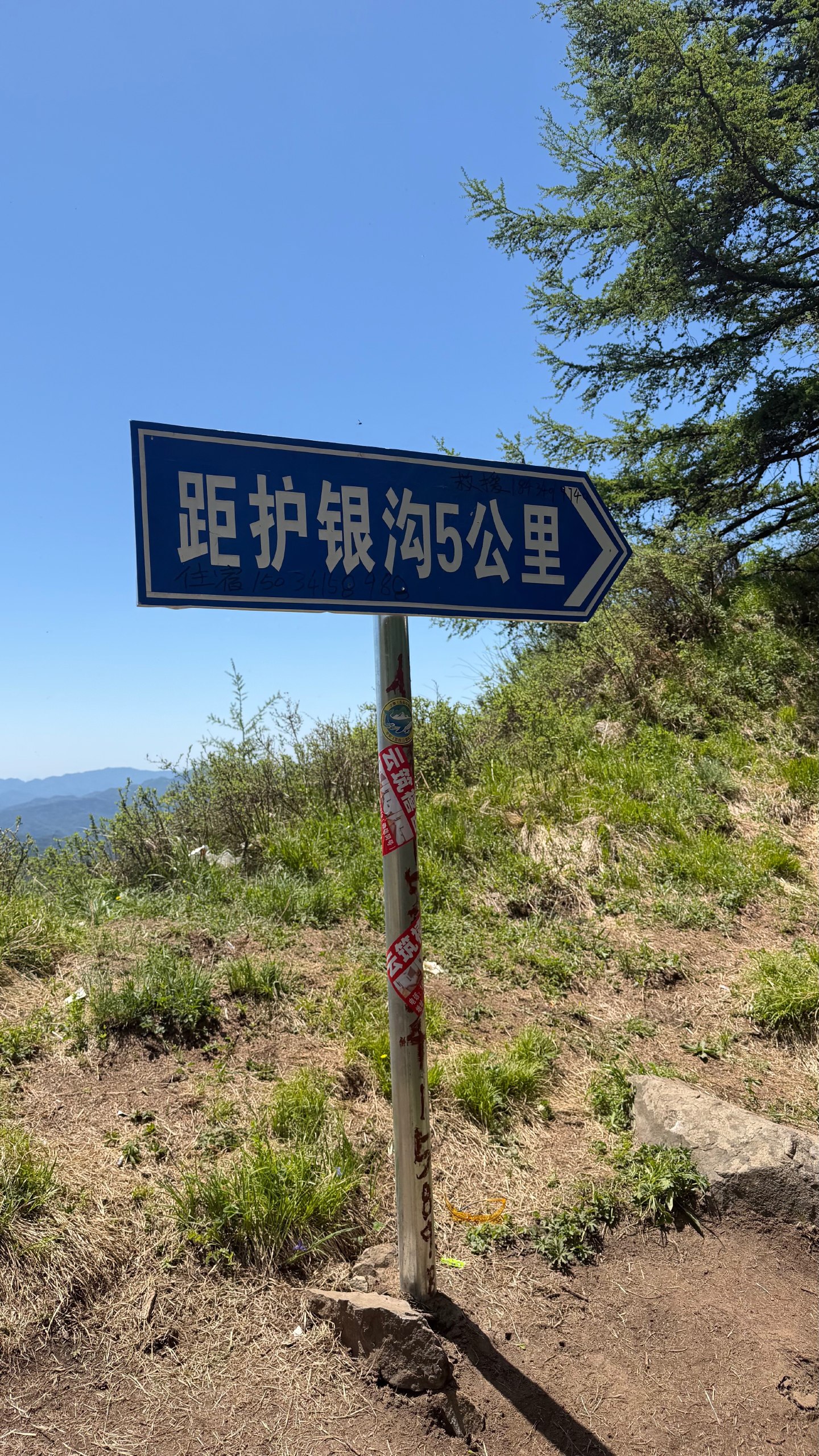 IMG_1330.jpeg