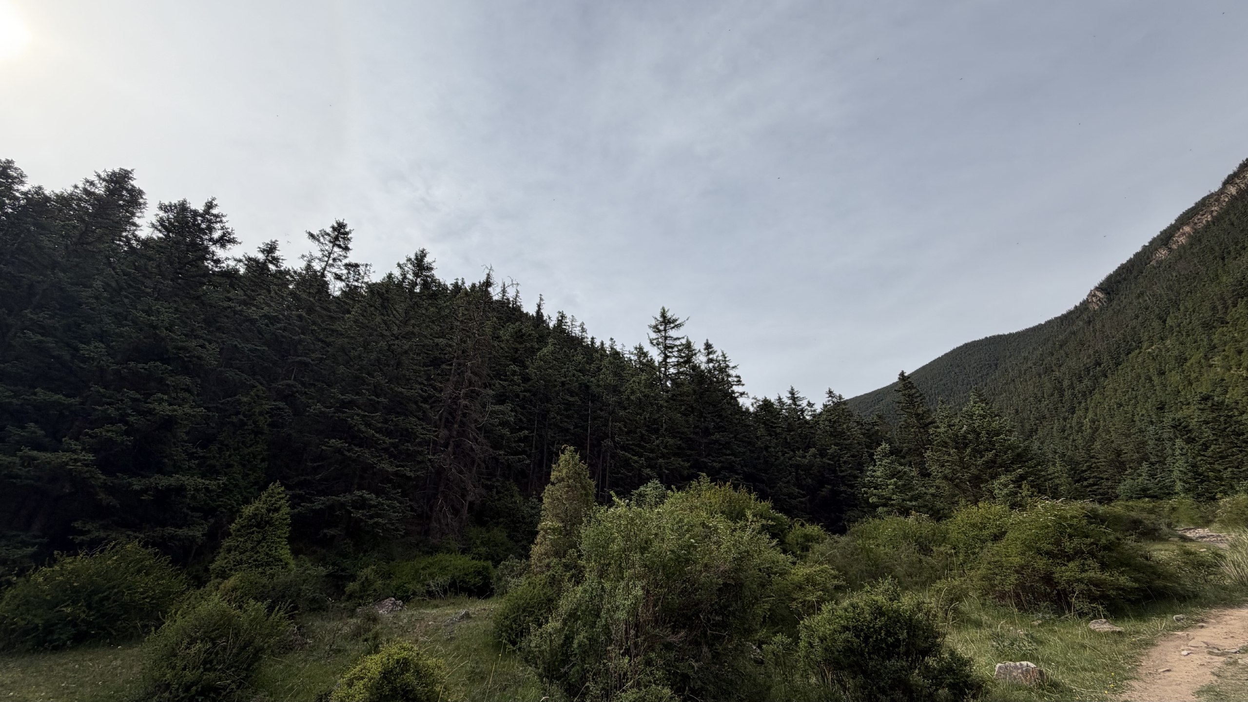IMG_1669.jpeg